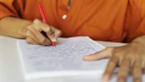 Uma praia ensolarada com palmeiras, areia branca e águas cristalinas.