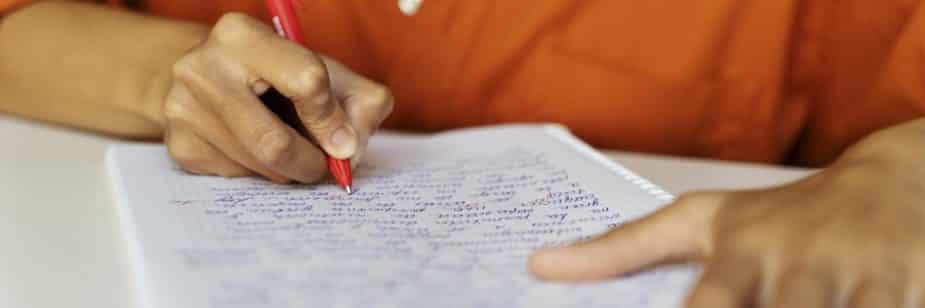 Uma praia ensolarada com palmeiras, areia branca e águas cristalinas.