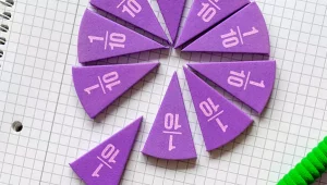 círculo roxo em eva cortado em frações